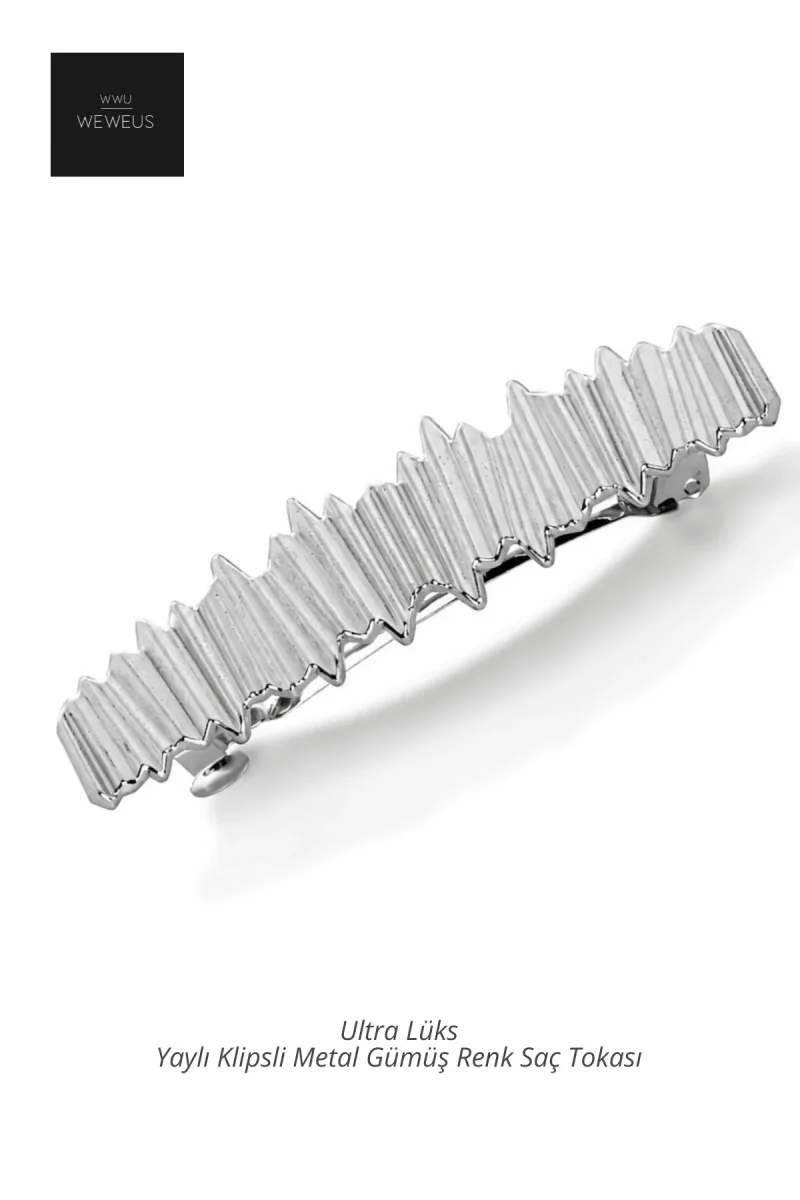 WeWeus pince à cheveux pour femme — détail métallique, fermeture à clip · Argent