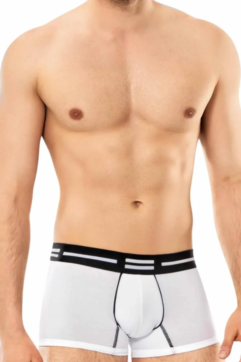 Boxer pour homme 1409