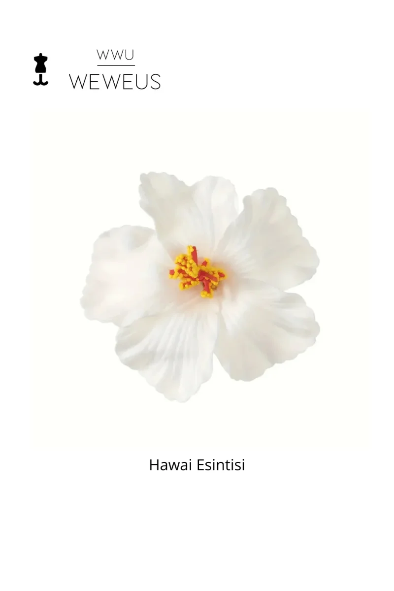 WeWeus Kadın Hawai Stili Çiçek Premium Toka